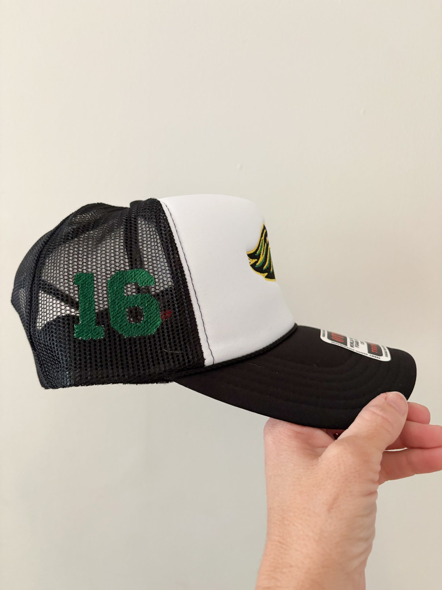 Queen Anne's High Lions