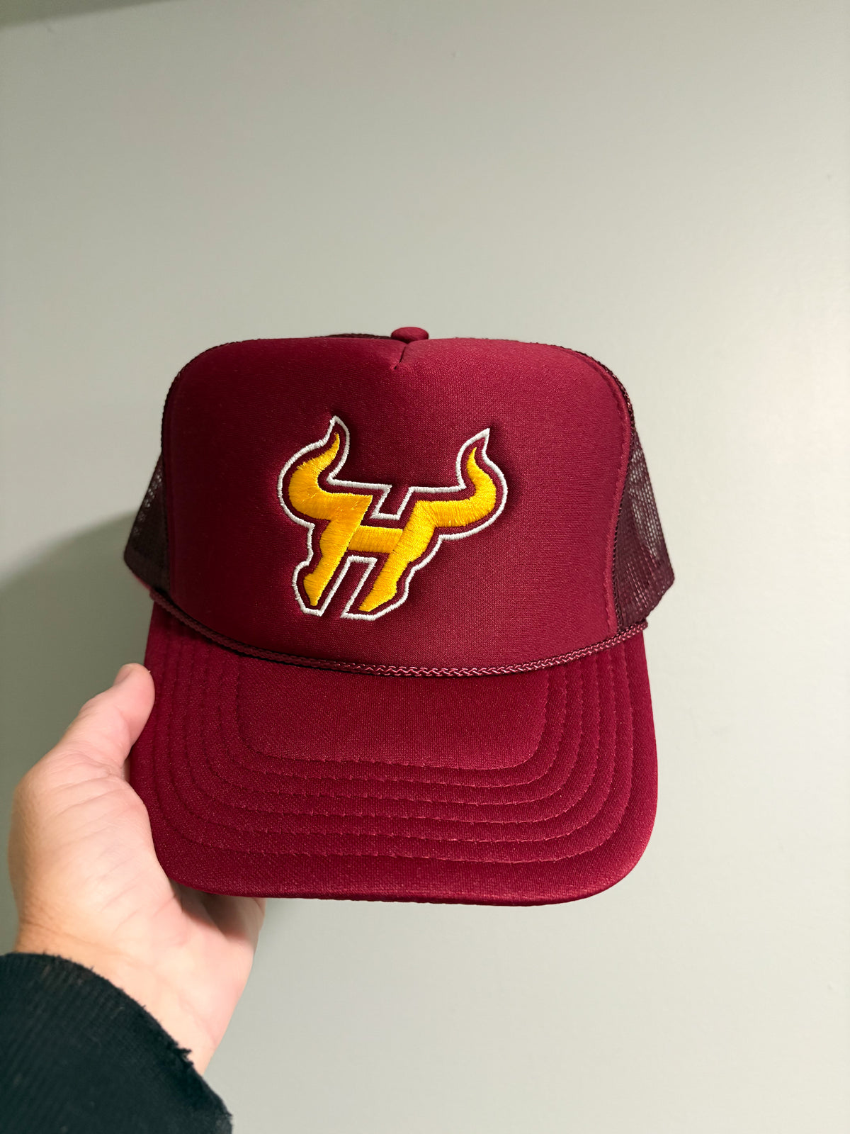 Hereford Bulls