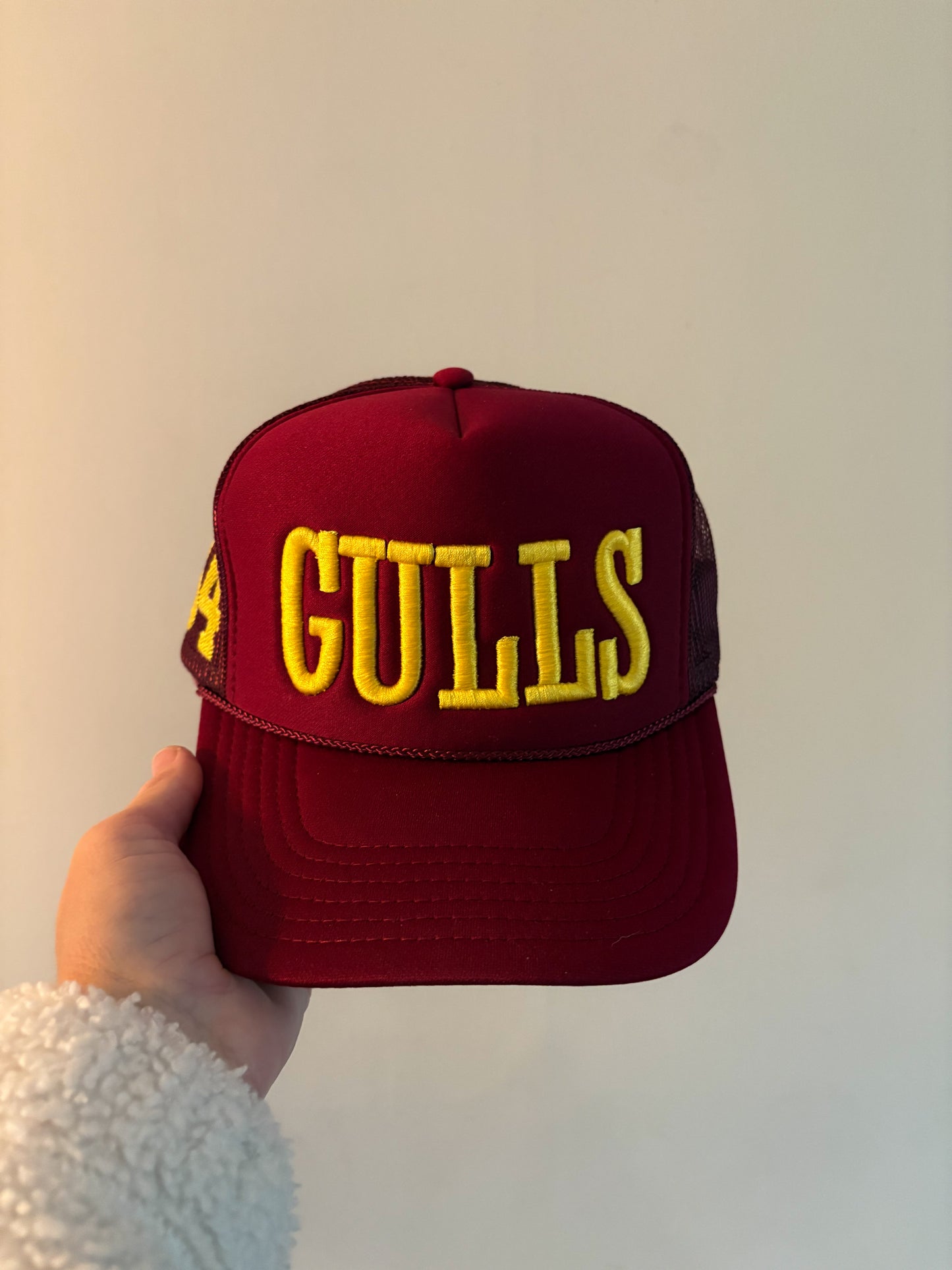 Salisbury Gulls